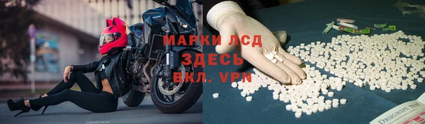 дживик Россошь