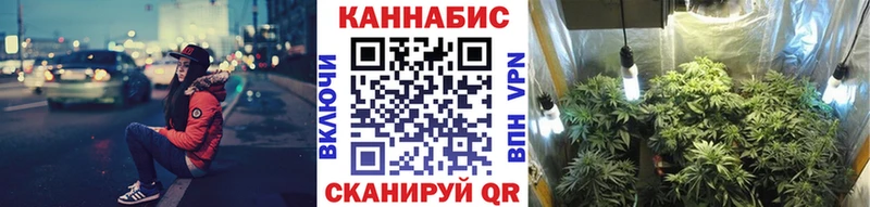 Конопля тримм  Теберда 